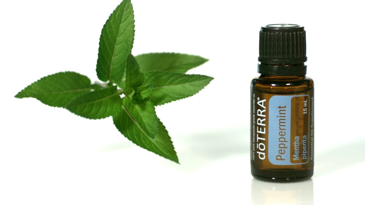 doTERRA® Peppermint Oil Uses and Benefits