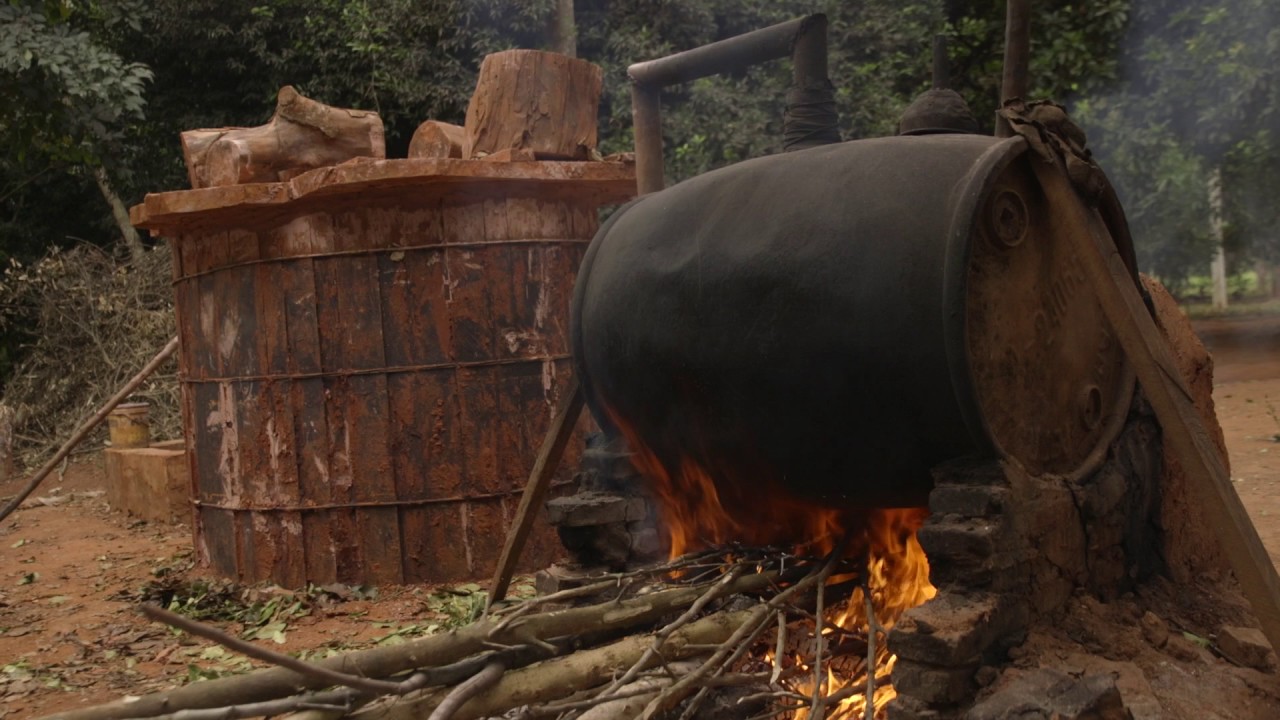 Sourcing Petitgrain - Paraguay