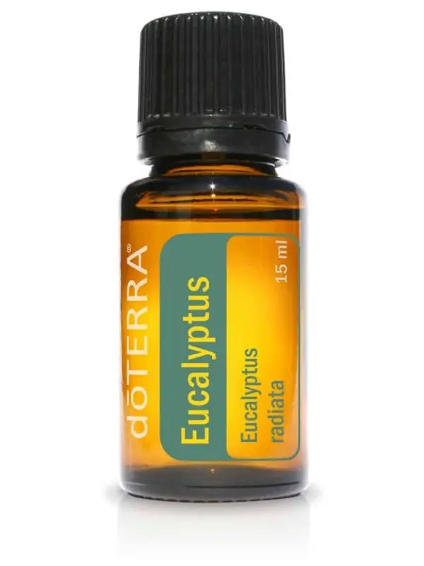 eucalyptus essentiele olie doterra eucalyptus radiata 15ml