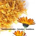 goudsbloemblaadjes calendula officinalis goudsbloem