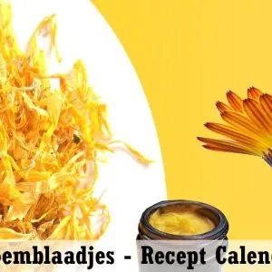 Recept Calendula zalf maken