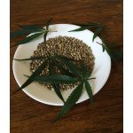 hennepzaadolie koudgeperst hennepzaad