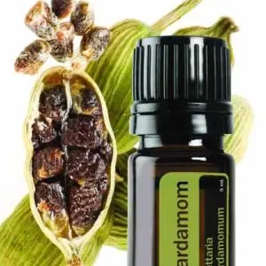 kardemom essentiele olie doterra ellettaria cardamomoum cardamom 5ml