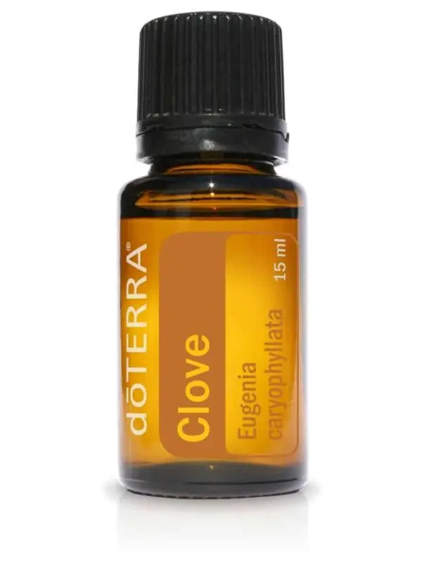 kruidnagel essentiele olie doterra clove eugenia caryophyllata 15ml