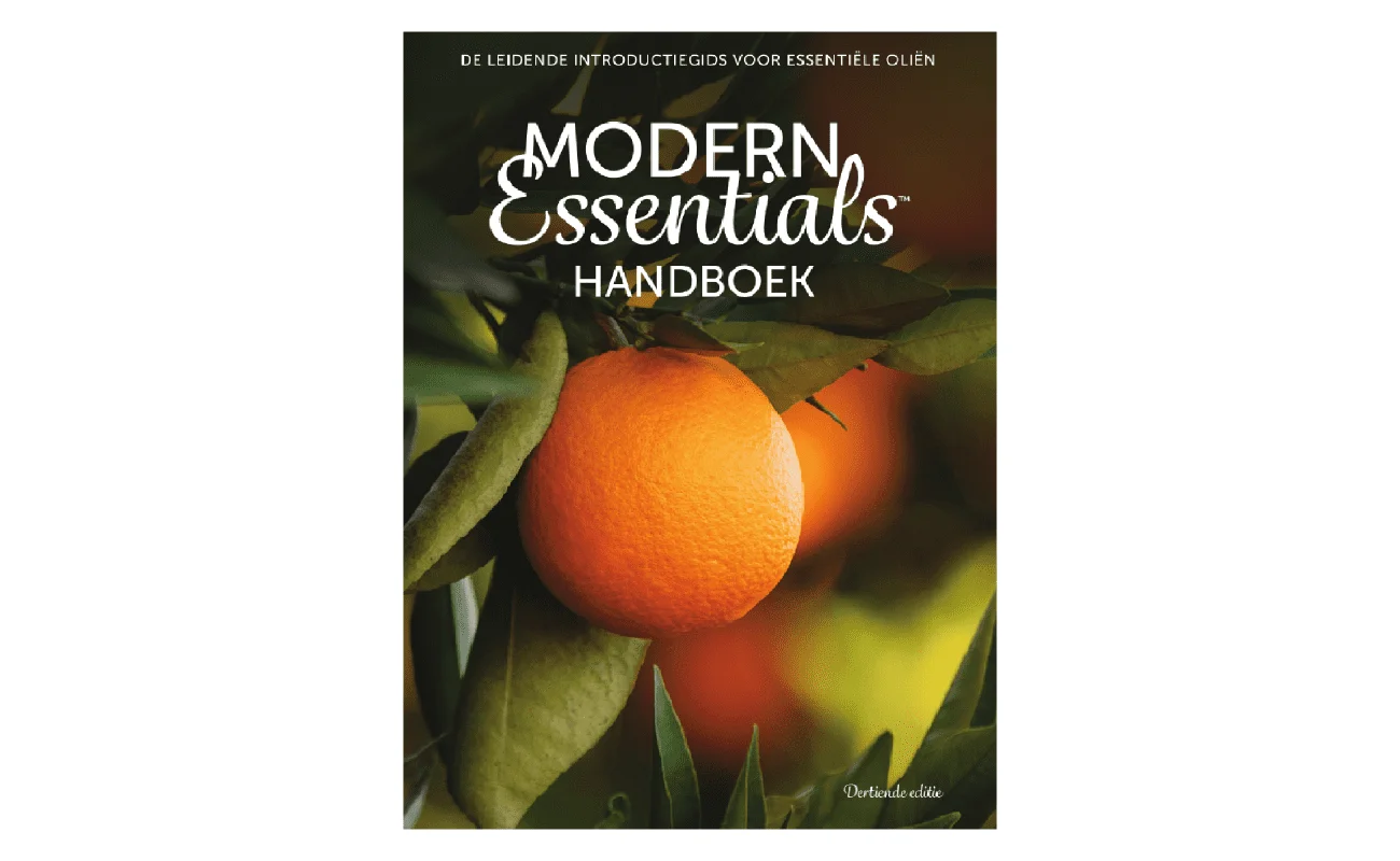 Modern Essentials Handboek Nederlands 13E Editie