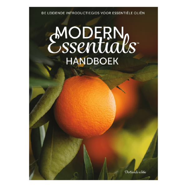 modern essentials boek nederlands 13NL