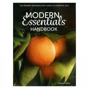 modern essentials english handboek 13e editie