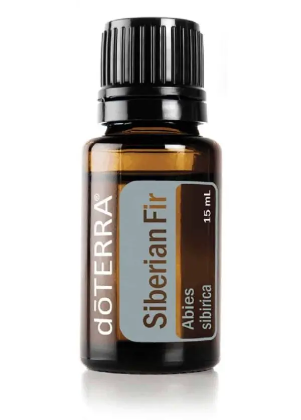 siberian fir essentiele olie doterra siberische spar